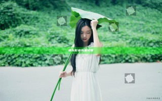 精东影业传集视频