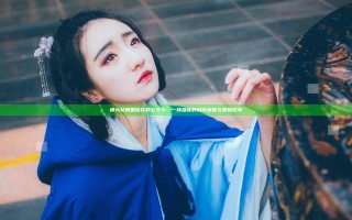 杨大壮和田桂花的公交车：一场温暖的城市邂逅与爱情故事