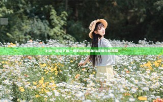 上边一面亲下边一摸的功效揭秘与应用分析指南