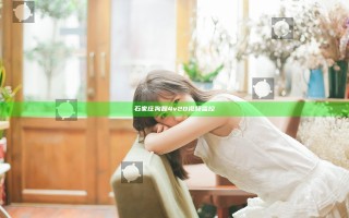 石家庄狗磊4v20视频监控
